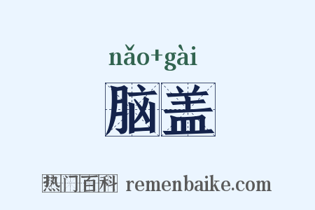 脑盖是什么意思的图片